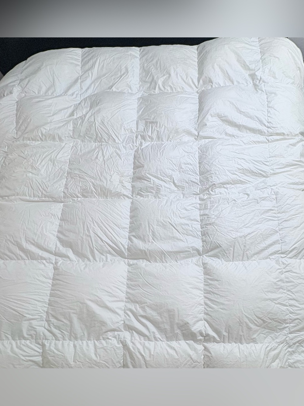 Scandia Home Gossamer Ultra Hungarian White Goose Down Duvet Comforter King Size